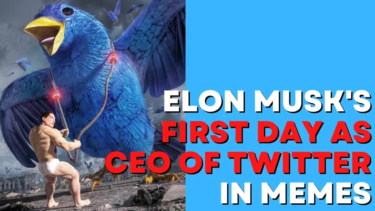 Elon Musk's First Day as CEO of Twitter in MEMES