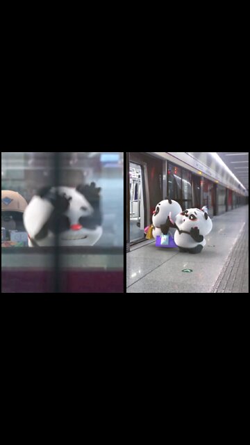 that's i n your honey ?