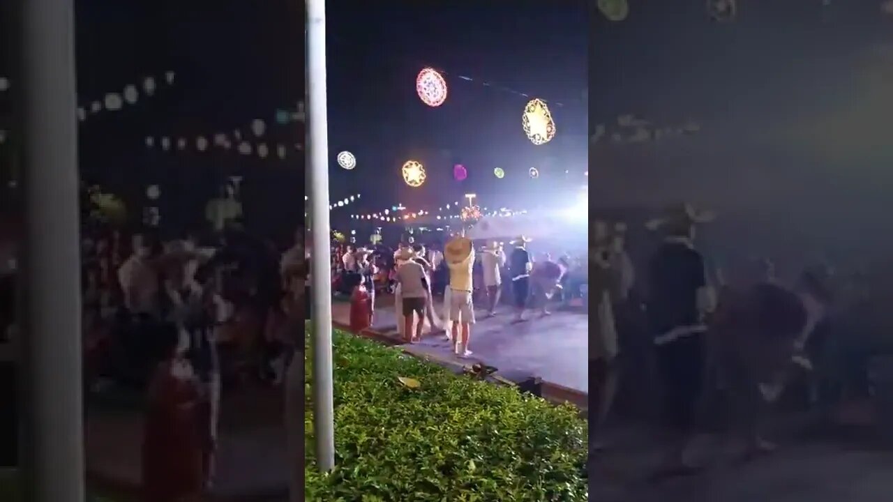 Facebook Live Video ID 877034066649075