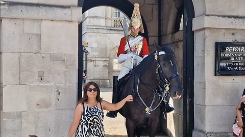 Grabbing the rein she needs Google translate #horseguardsparade