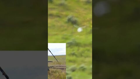 Howa ORYX Bolt Action Rifle in 6mm Creedmoor at 800 Yards!