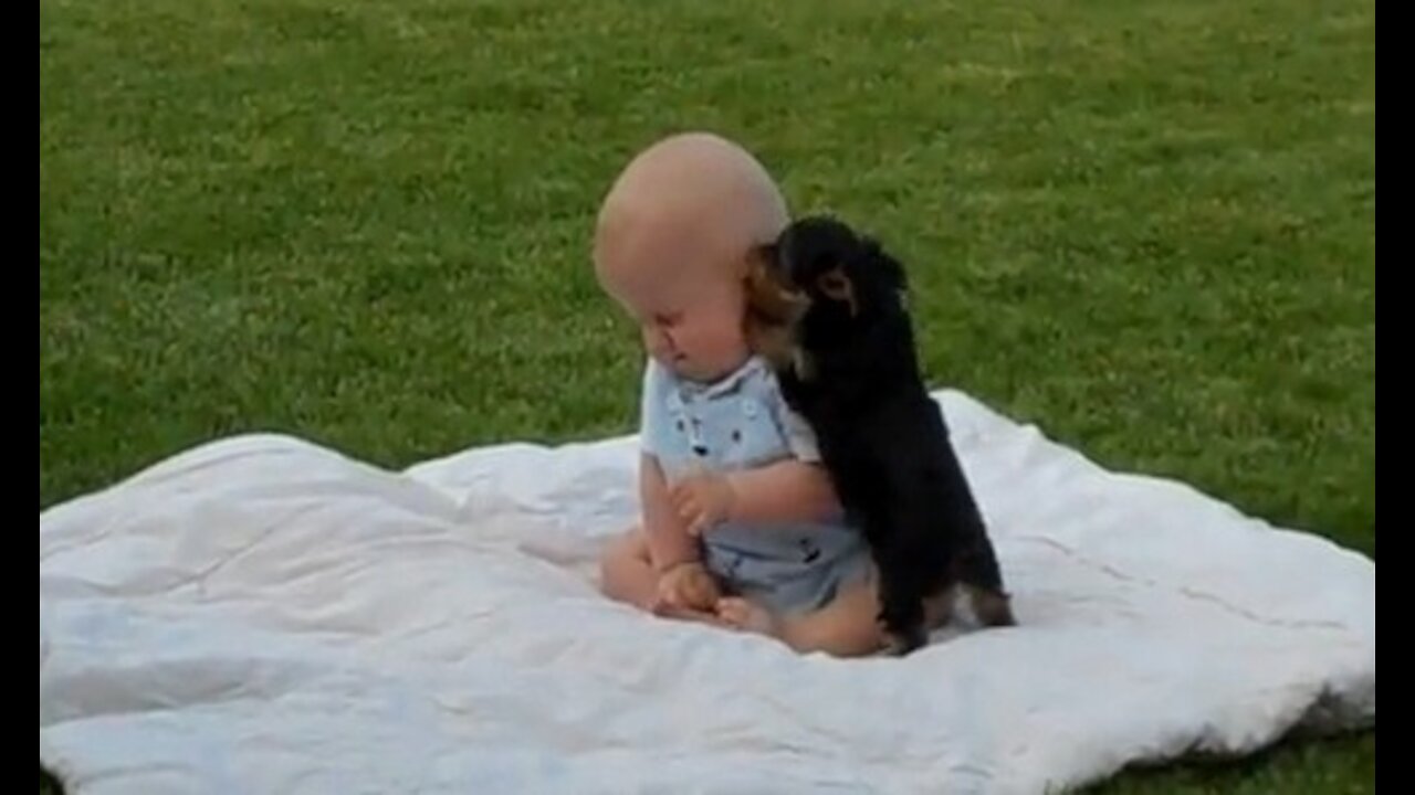 Cute Funny Baby Dogs! Babies Compilation # 1