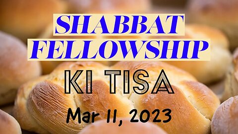 Shabbat Fellowship - Ki Tisa - Plus LIVE Q&A (Mar 11 2023)