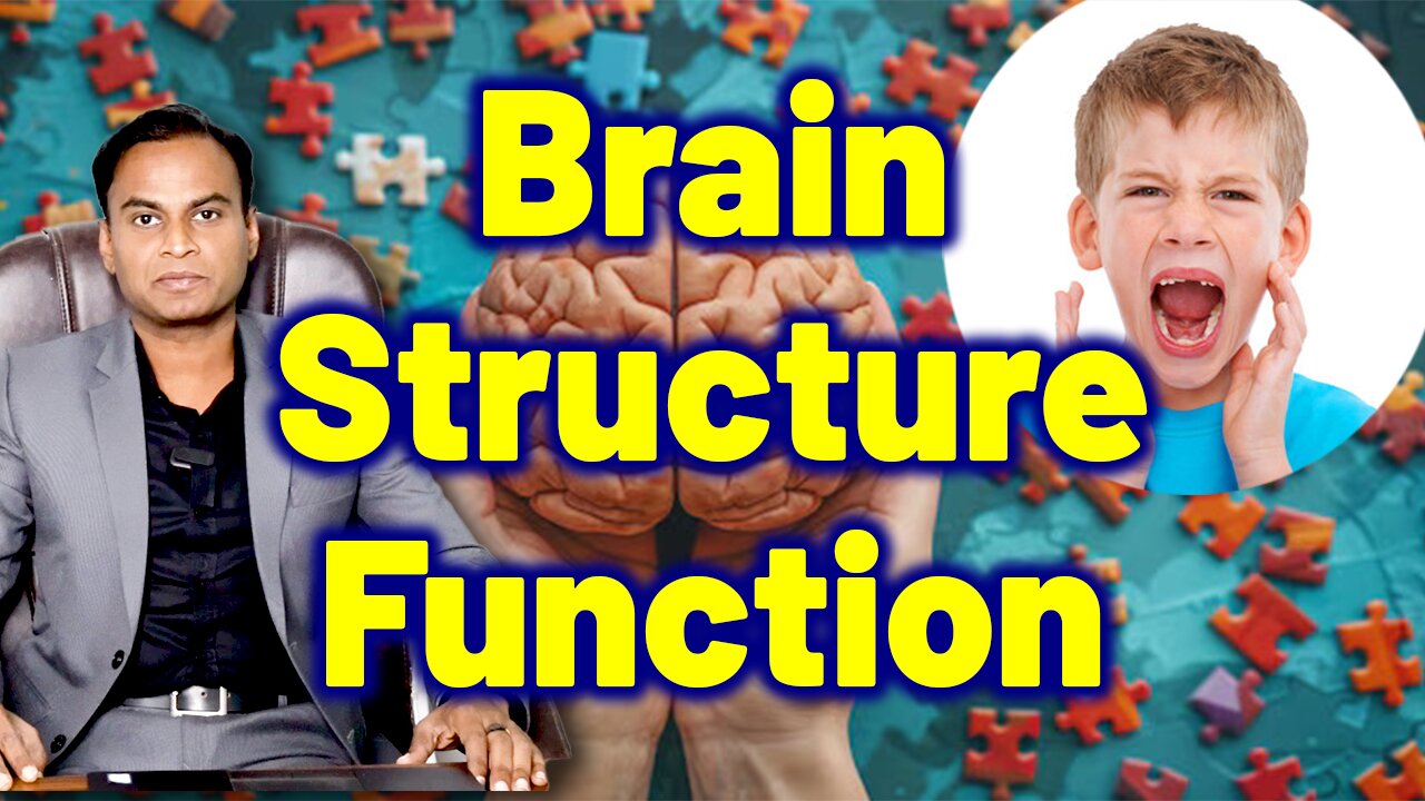 ADHD Tests Structure of Brain Related to ADHD ADD Hyperactivity | Treatment Cure Medicine | Autism