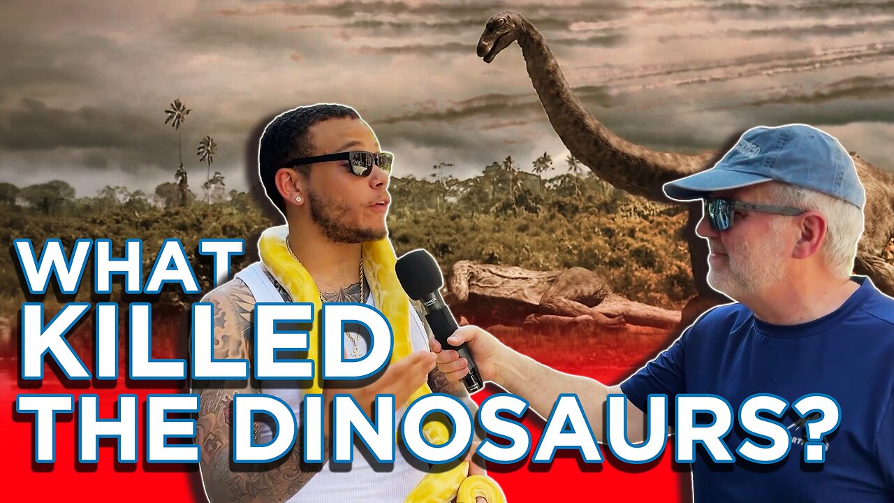 What Killed the Dinosaurs?