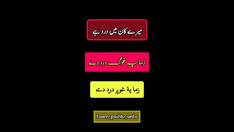 learn pashto Urdu sentences/ pashto Urdu bol chal