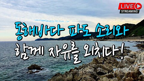 [힐링] 동해바다 망양에서 파도 소리와 함께 자유를 외치다! - 뉴스타운 손상윤 회장 [뉴스타운TV] 2202.10.16