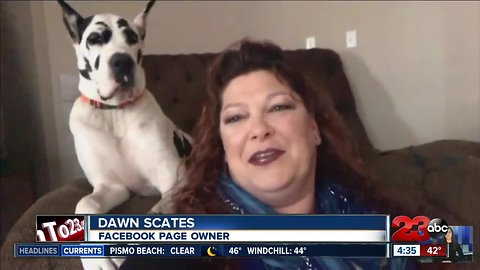 Strangers Help Dogs Travel to Kern County