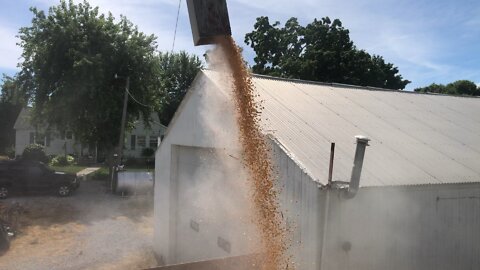 Loading last Corn 6-25-22