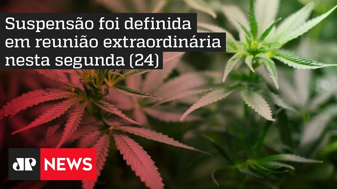 Após críticas, Conselho Federal de Medicina suspende norma que restringia a prescrição do canabidiol