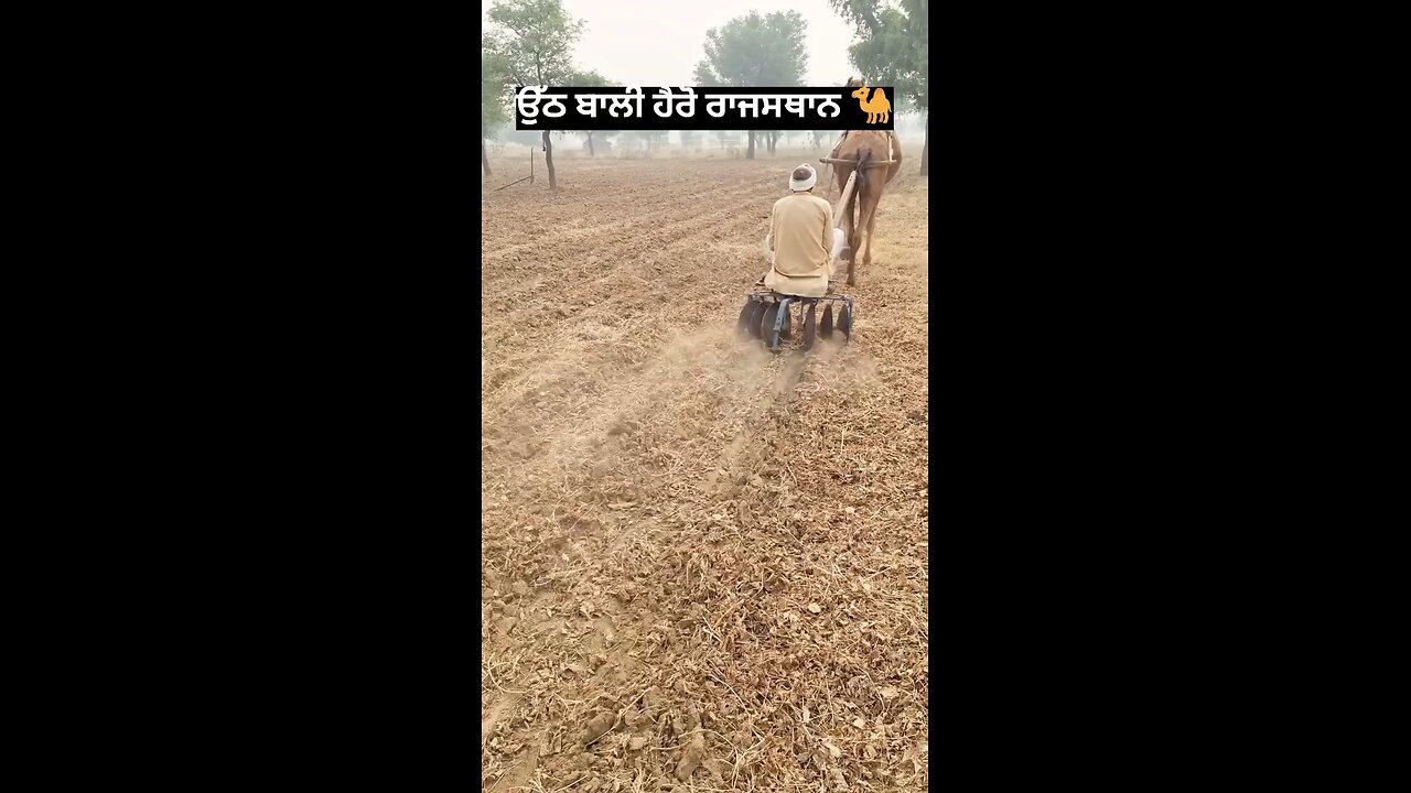 राजस्थान