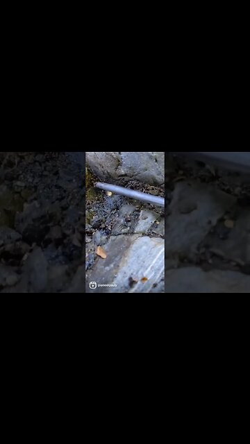 I Found Another Gold Nugget!