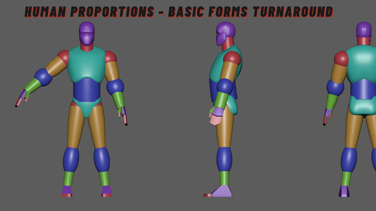 Human Proportions - Basic Forms Turnaround: Assignment Streams