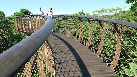 SOUTH AFRICA - Cape Town - Kirstenbosch National Botanical Garden (Video) (jJo)