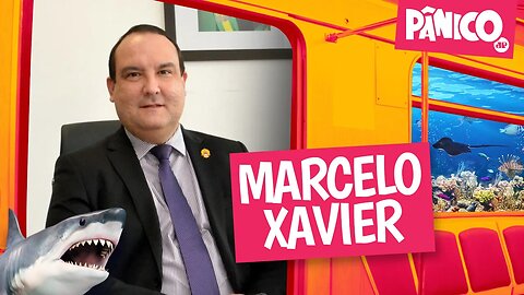 MARCELO XAVIER - PÂNICO - 12/05/22