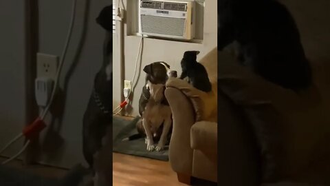 They Are Best Friends! 🥰