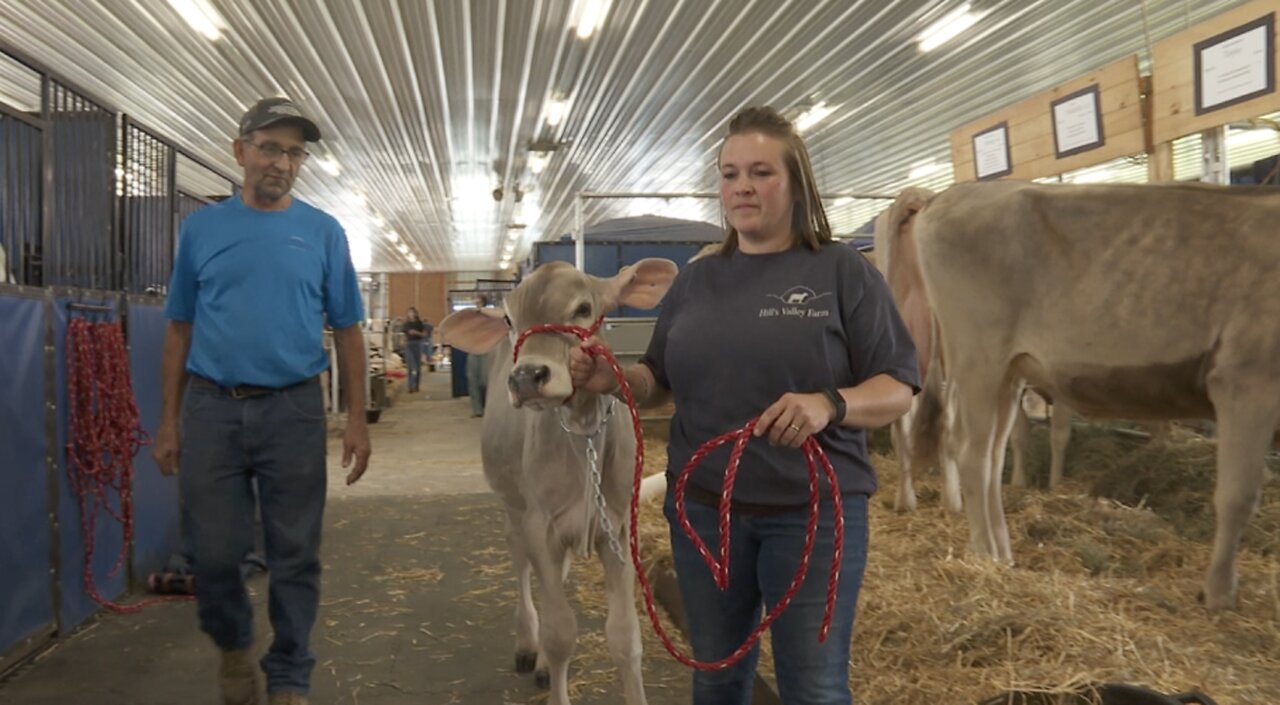 A tradition continues for a dairy farm family at the Erie County Fair