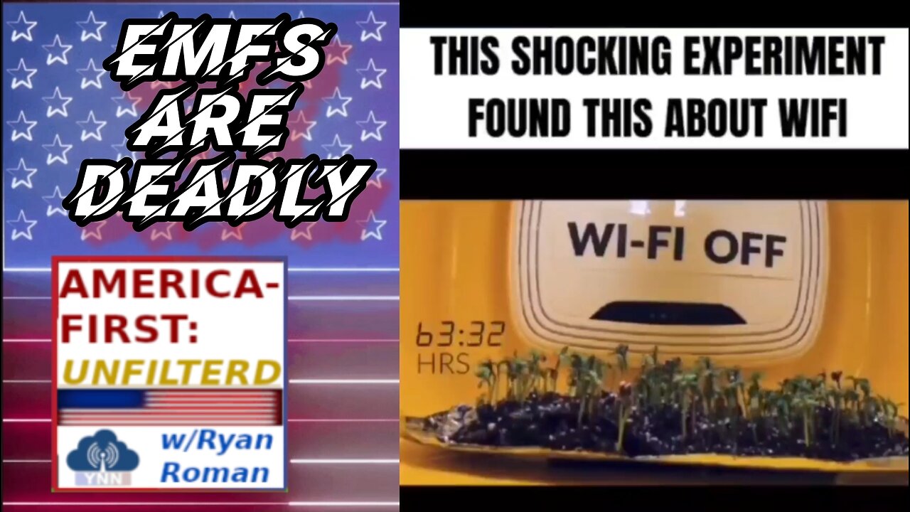 Experiment shows WiFi (EMF) are DEADLY to Life | AFU