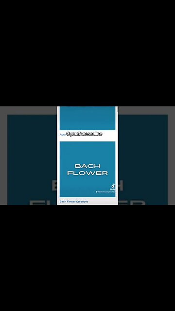 CymaTones Online from anywhere on the Internet