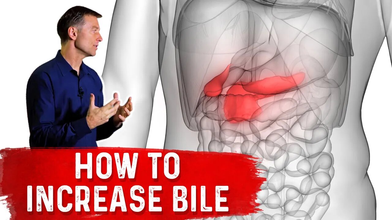 10 Things That Increase Bile Salts