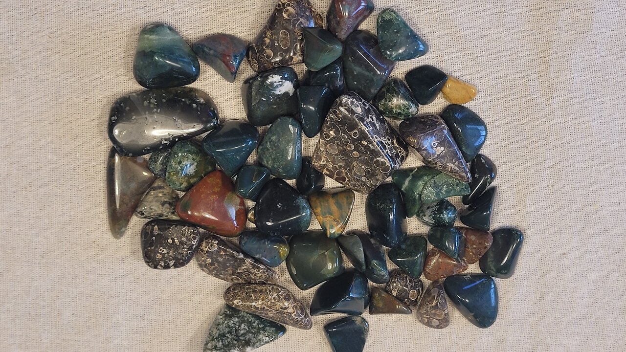 Tumbling Green Jasper, Tree Agate, & Turritella Agate from 60/90 to Polish