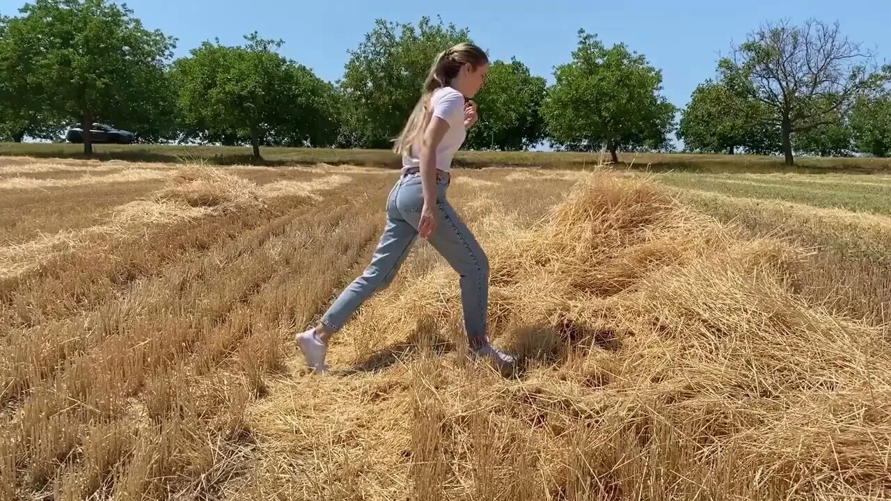 Hiding From My Dog in a HUGE Sunflower Field