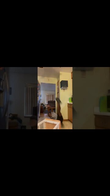 She got a BIG bank!😳🤯🥴🍑#shorts