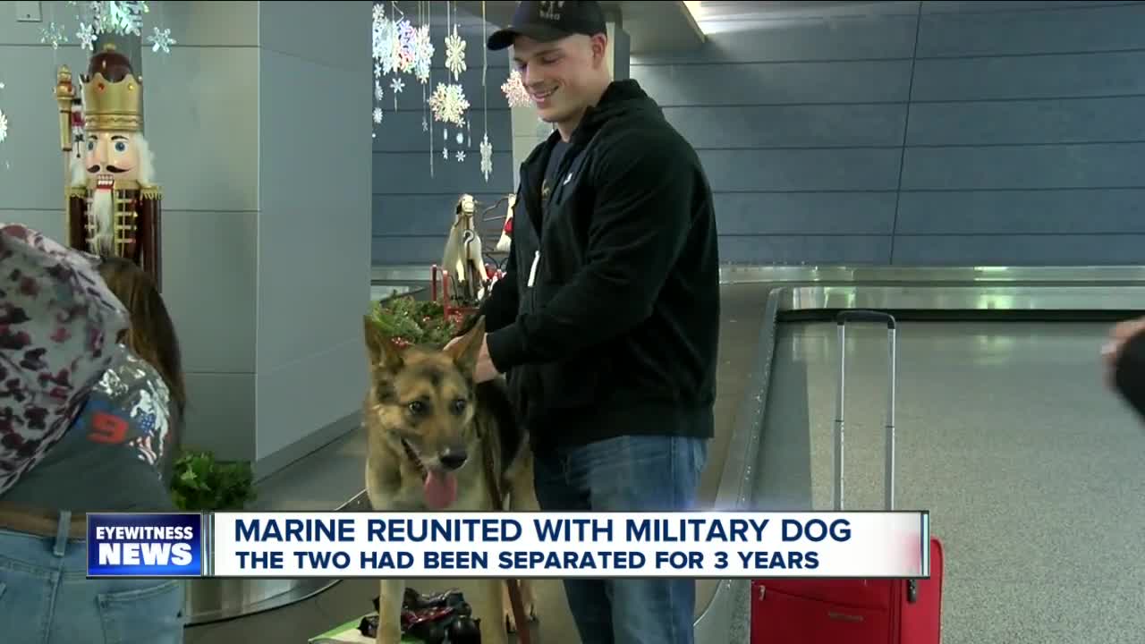 Marine reunited with Military Working Dog after 3 years apart