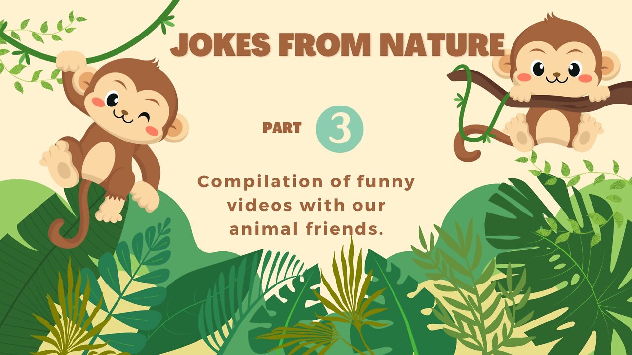Jokes from nature part 3