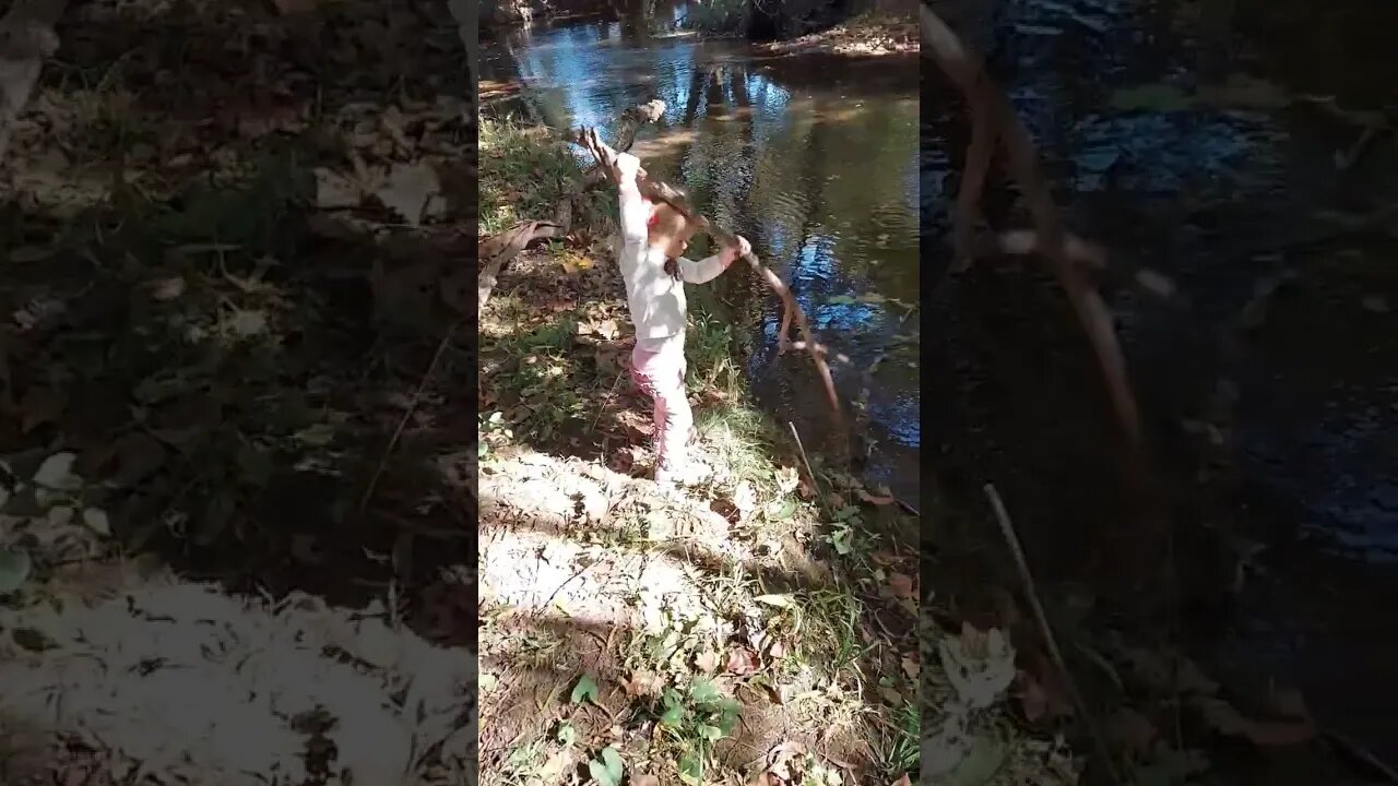 Toddler Creek Fun