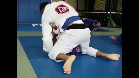 Cachorro fazendo Jiu-jitsu