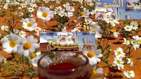 قصة وقصيدة أبو دباس وابنه دباس@Badia11