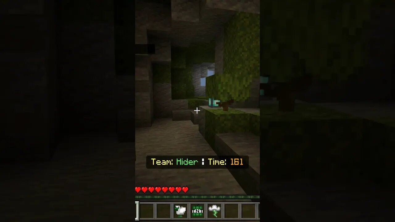 I Hide The Bessssst... (Borat) #minecraft #gaming #gameplay