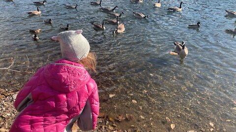 Winter feeding her webbed friends.