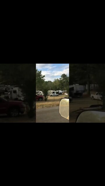 Turkey Track Bluegrass #shorts