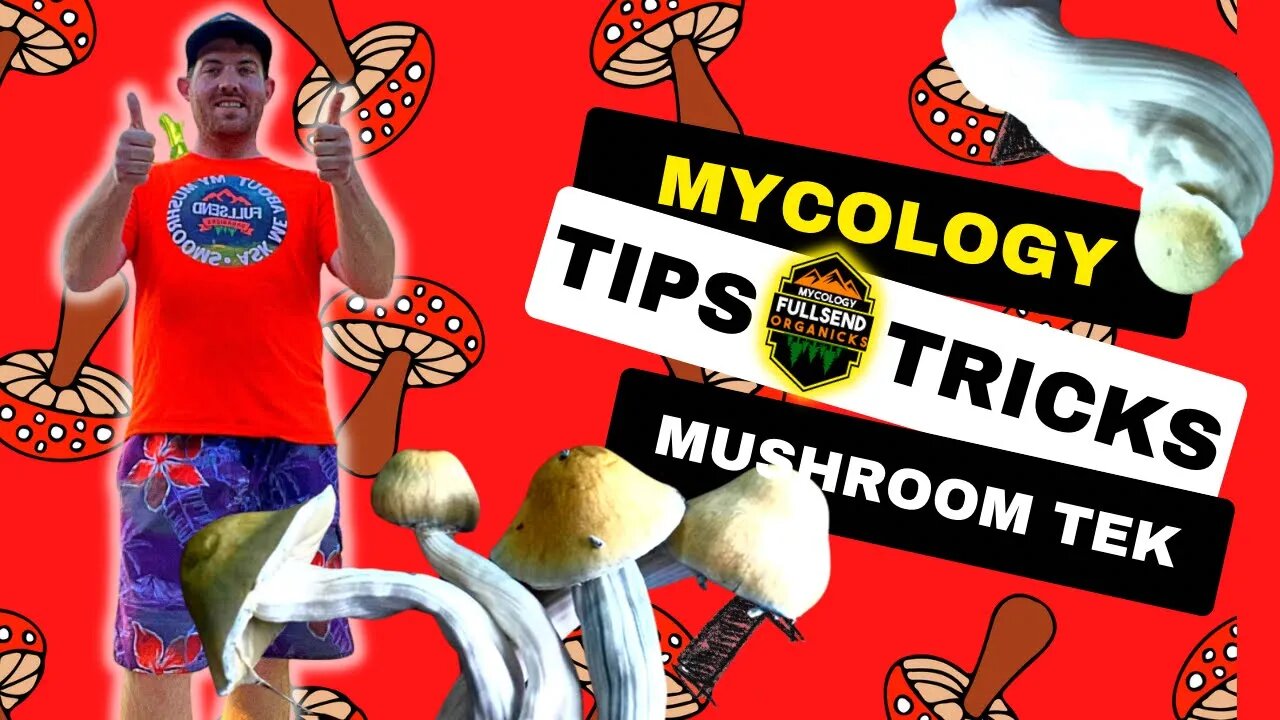 Mycology Tips and Tricks for Growbags and uncle Ben's tek