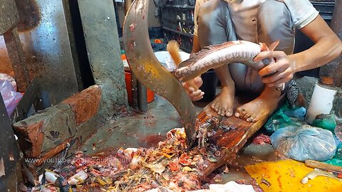 The Fastest Fish Cutting Skill ~ Tuna Cut Fish Bangladesh Market