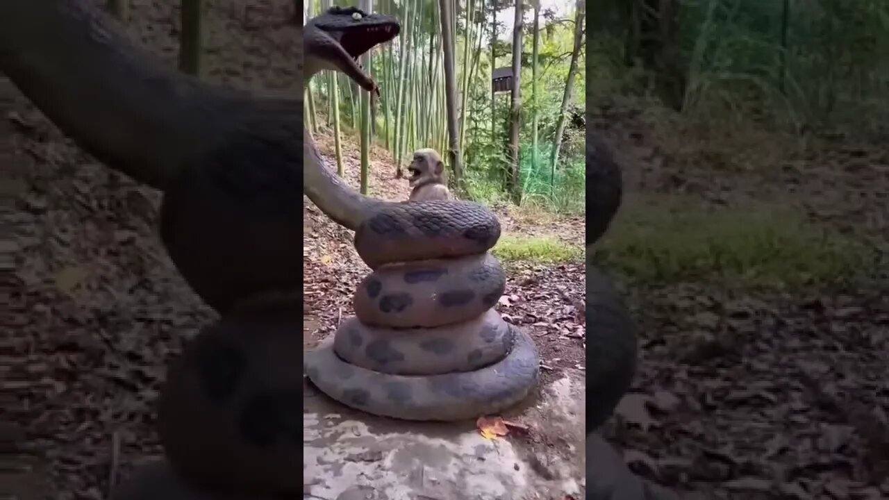 What A Snake , Unbelievable #shorts