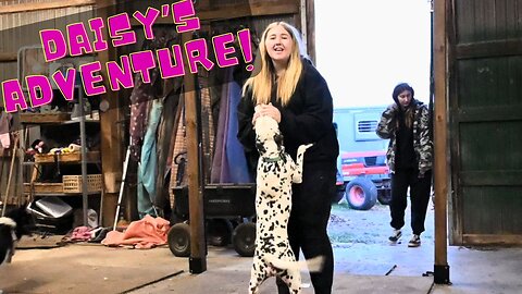 Daisy Dalmatian's Big Adventure!