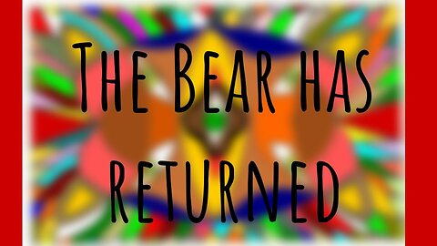 🐻🐾The Bear is back!👈