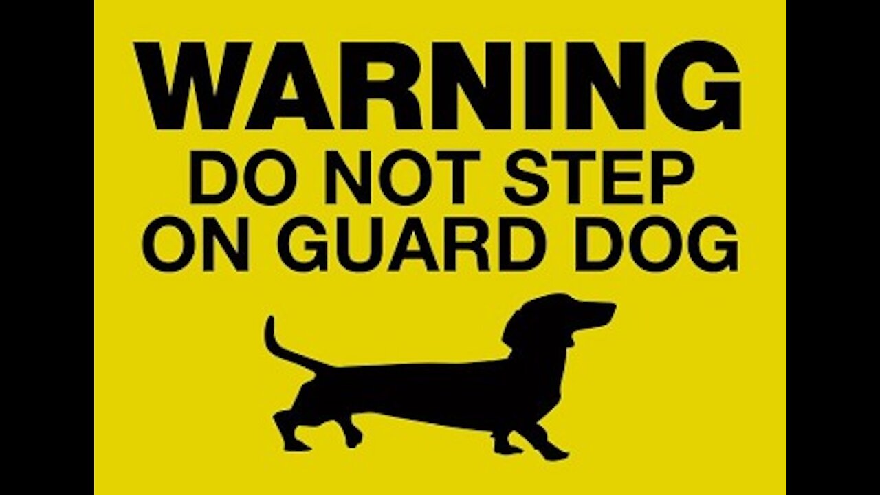 Guard Dog Training with Quick Step by Step method.