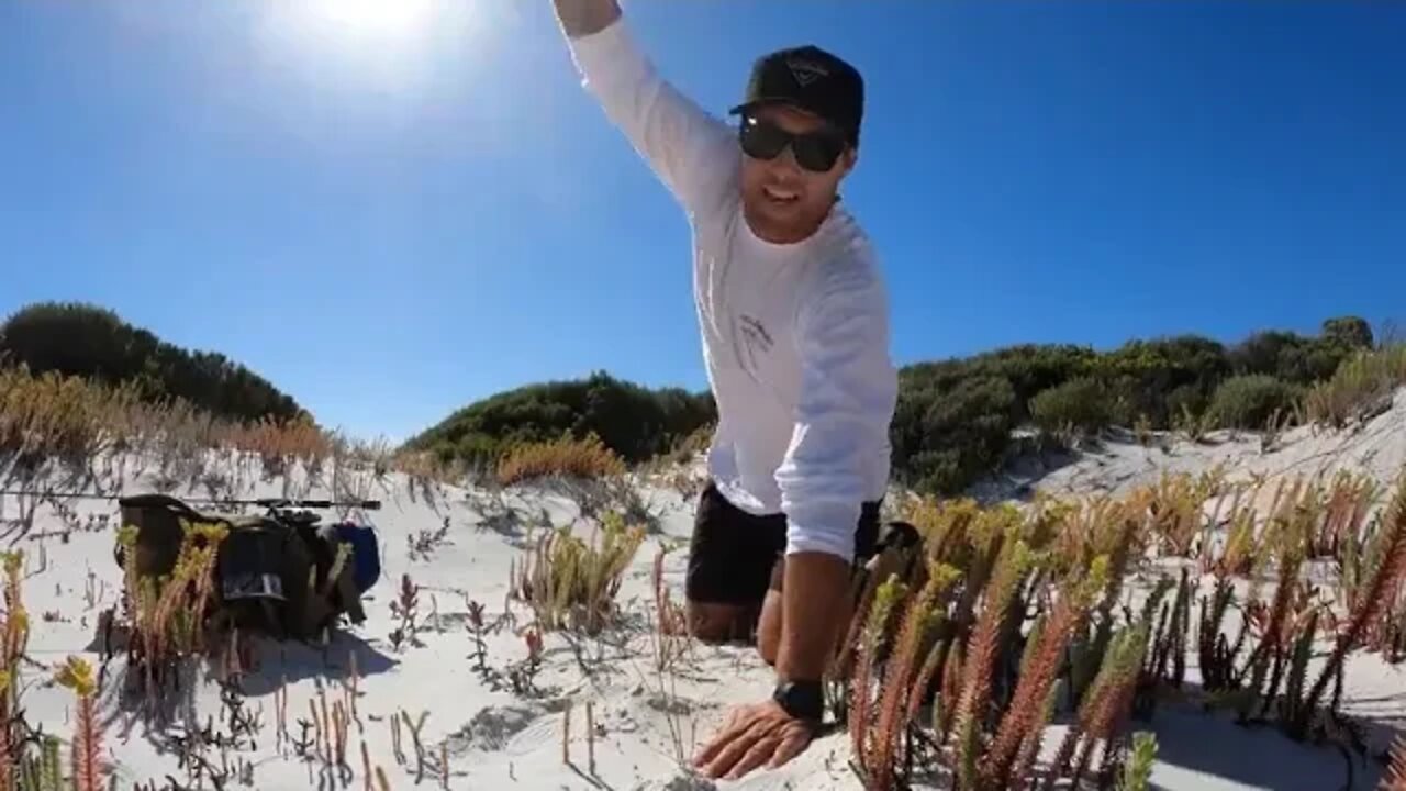 3 days SOLO CAMPING with No Food Alone In The Bush!