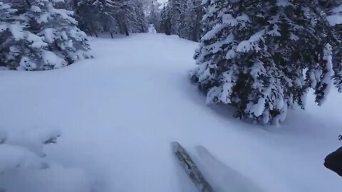 Bad Gastein best powder day-5