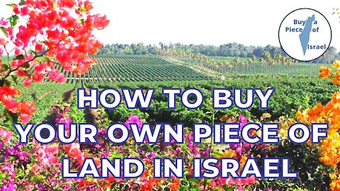 Buy land in Israel - How to buy your own piece of agricultural land in Israel