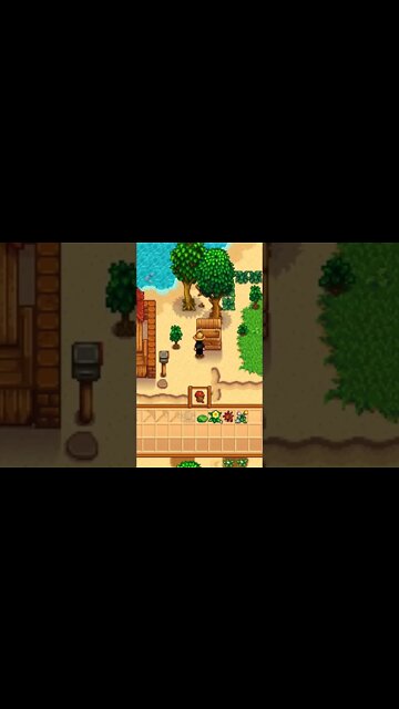 When you play a vanilla Stardew Valley farm