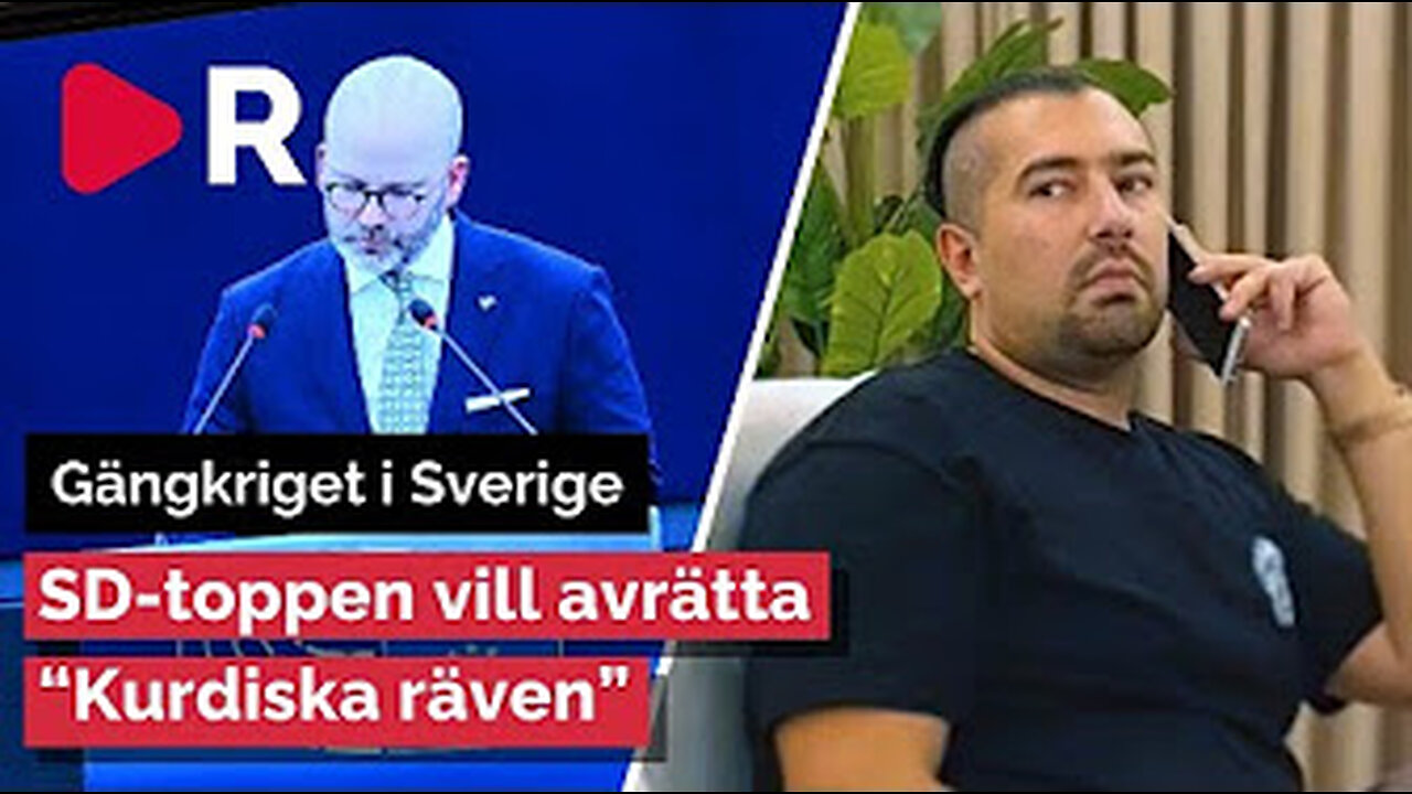 Rävjakt!