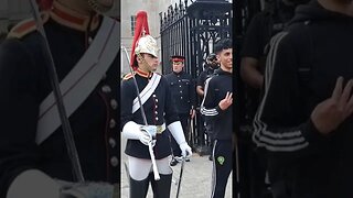 Kings guard gives tourist that look #horseguardsparade