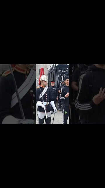 Kings guard gives tourist that look #horseguardsparade