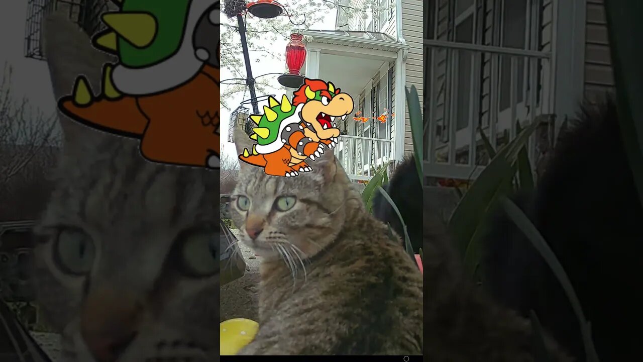 Bowser Visits #Shorts 🔥