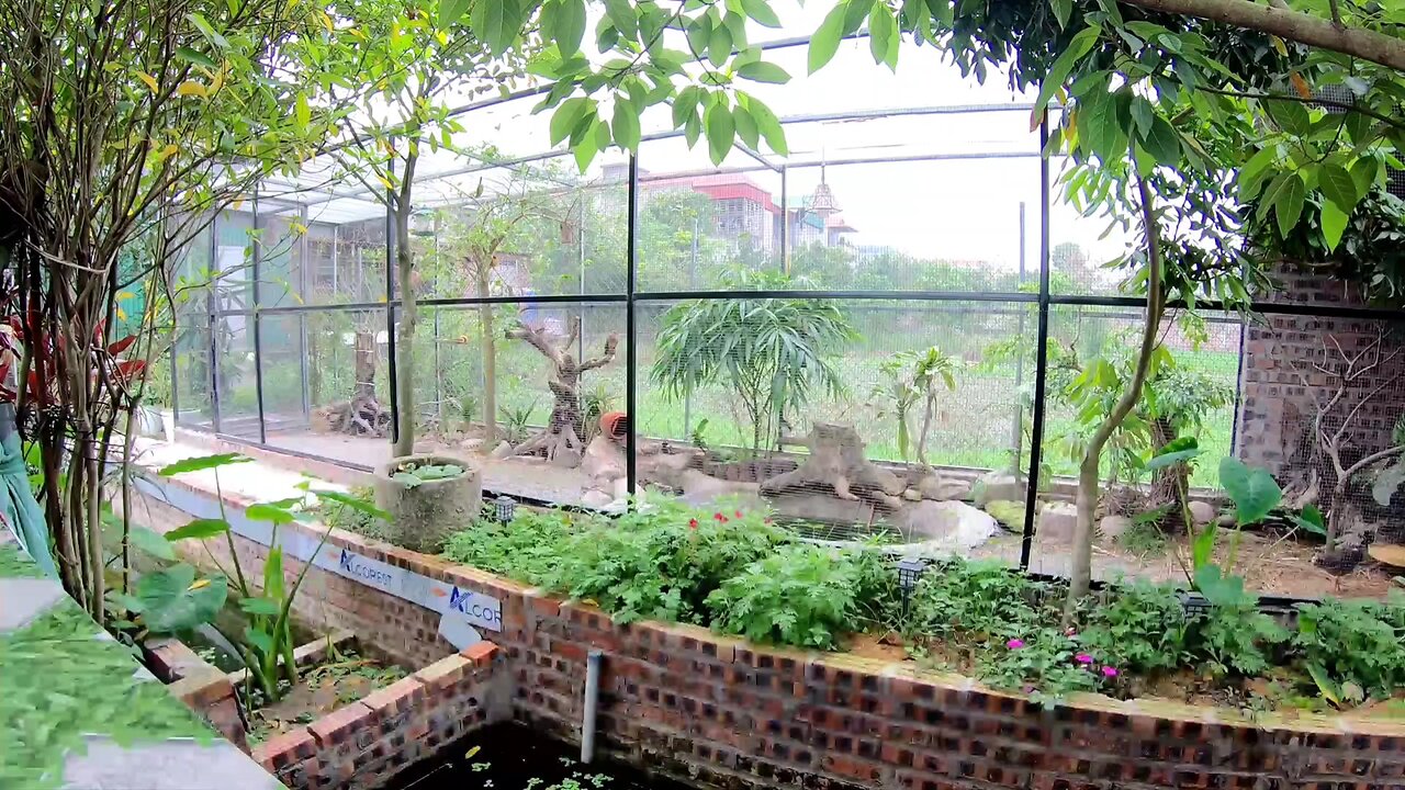 create a small aviary garden